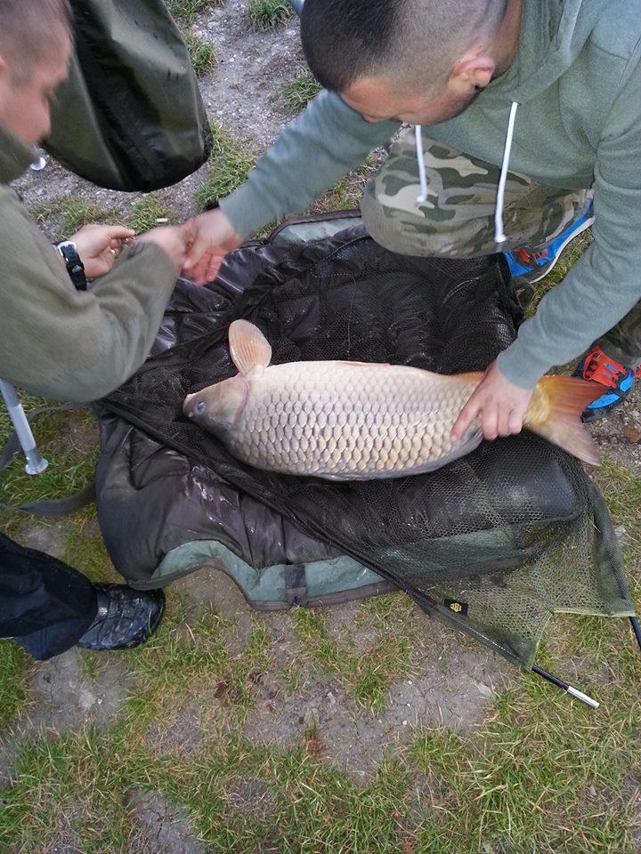 Harsany 20-23 aprilie 2014 - 11.jpg